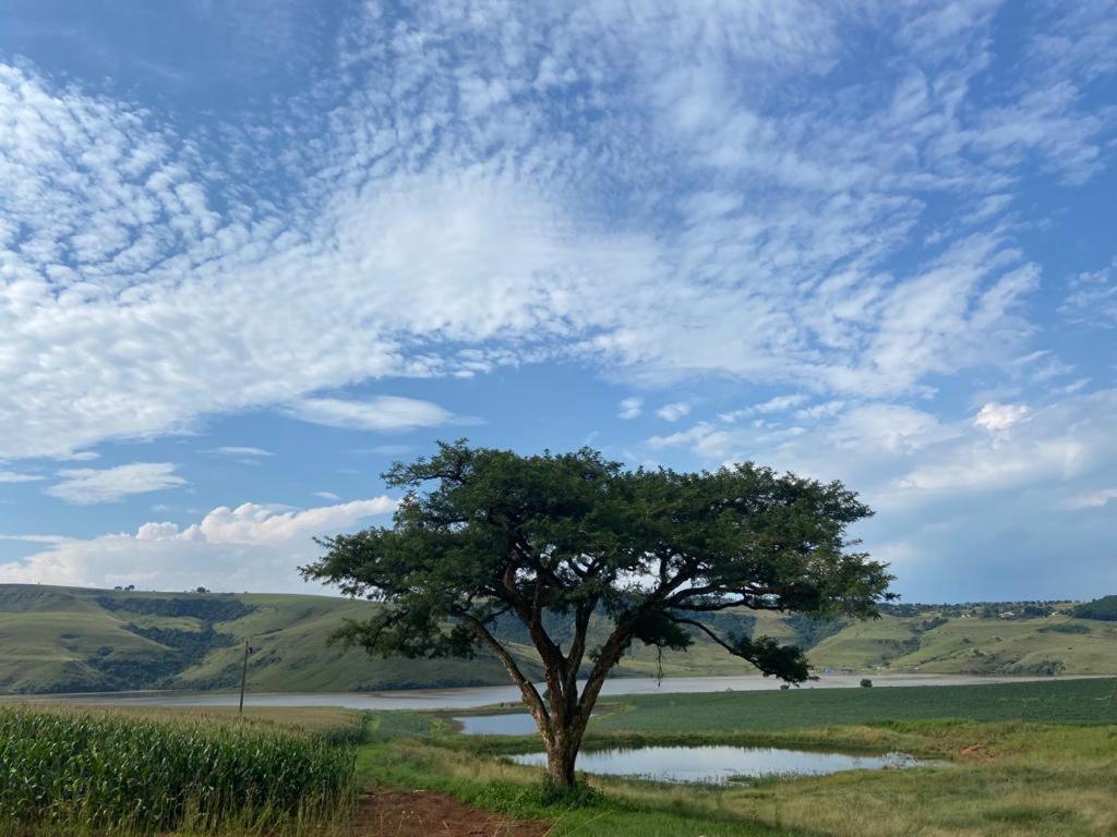 مبيت وإفطار Champagne Valley Bell Park Self Catering المظهر الخارجي الصورة